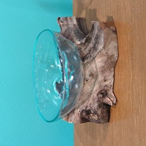 Decorative glass bowl on driftwood